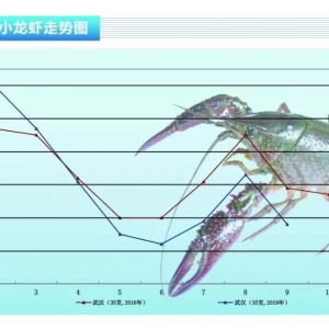 С���r���Ј��N�����ӣ����r���Ӳ��󡪡���ˮ�aǰ�ء�2019��10�¿��Ј�څ��