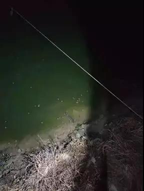 �~�����켱�\�����UЩ���f���~�͛]��