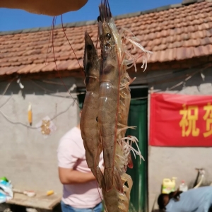 ������(r��n)��6�f(w��n)�����a(ch��n)3000����r��ʽ�������