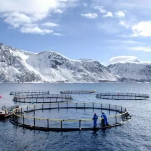 ���������~���ݣ��~�r������ϝq�᣿