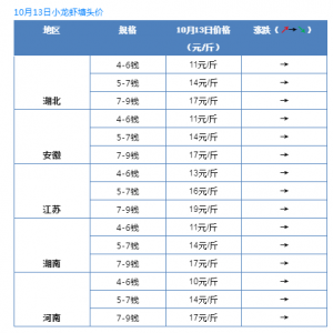 �r��ƽ����10��13��ȫ��С���r���^�r�����飡