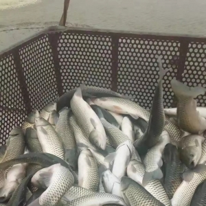 ���~���У�������^�r����5Ԫ/����