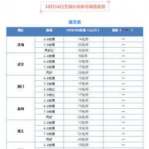 �r��ƽ����10��16��С���r���l�r���飡