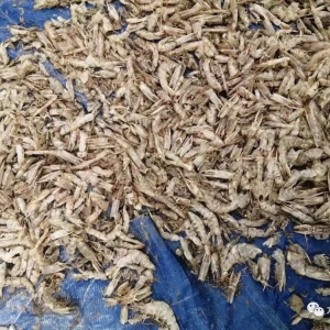 10��16�Շ��Ȱ��r���a�^�r�񲥈��c�������