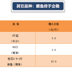 С���»���10��18���������Z�~���_���~�����N���^�r�񲥈�