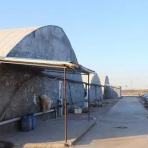 �ܽ^��һ���С����H�����S���B�r�o��һ���lչ�·���