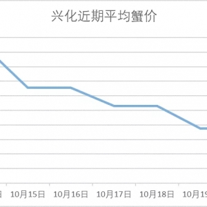 �d����ƽ���ߴ�΢����10��20�ո��س�з�r��