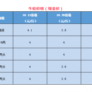 �|�׷�����ţ�ܻ؝q�����ţ��̩�����R�󿼣�������߀�B(y��ng)�᣿| ��������ؼs