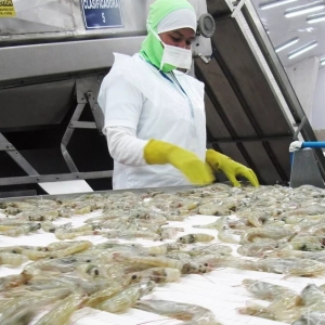 9�µ�؛���½�15%�������Ј����r����ط�