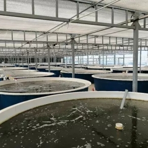 ���S��ʯ���~�Bֳ���пɞ飬���~���Bǰ������