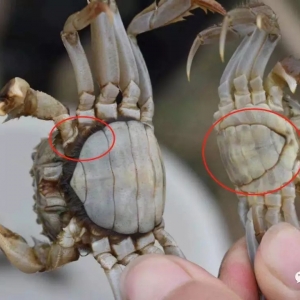 �����^з�������^�ۣ�һ�D�����e��