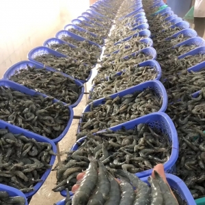 ȫ���r���ġ�����������,����ǰ�r�r�ϝq�ѳɶ���