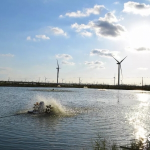 �B(y��ng)�r����ـ���������ĳɹ���(j��ng)�(y��n)ֵ�ÌW(xu��)��(x��)