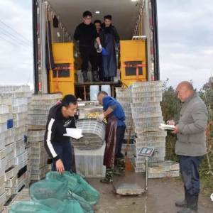 10��23�Շ��Ȱ��r���a�^�r�񲥈��c�������