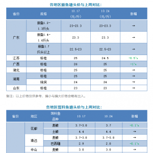 ������ԣ��ϝq������з���Z�~������������