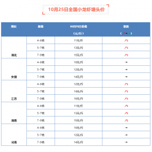 �r�r�q����С���r������F(xi��n)��ů��10��25��С���r���^�r������