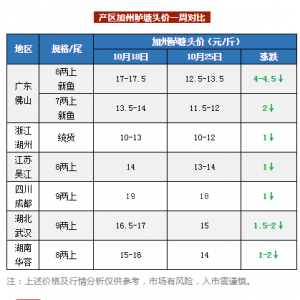 �����|���~+���~�����������ߵ�4.5Ԫ/��