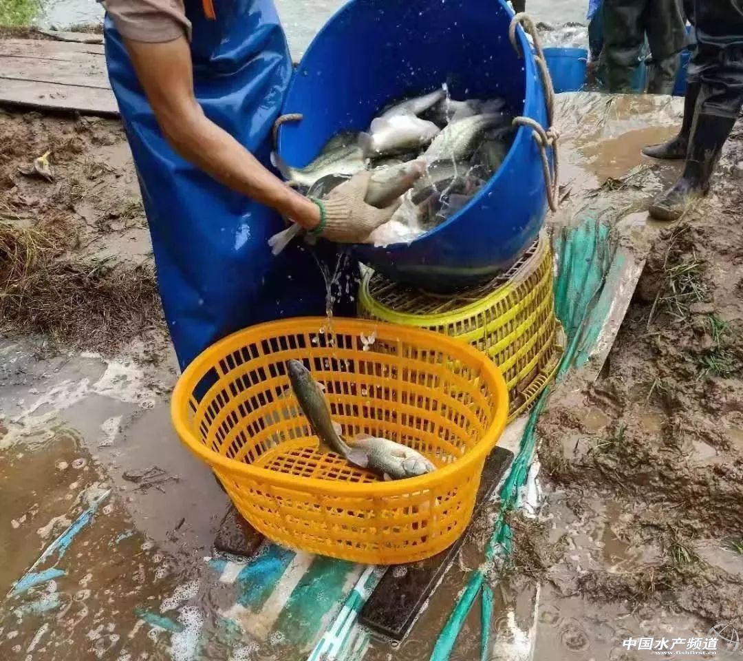 һ�Ŀ���2019��ˮ�a���L�P�I�c