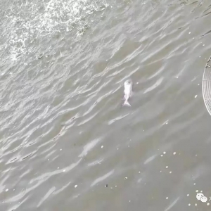 �f�ѽ��~�x����m�����������Ѽ����Σ���辯��