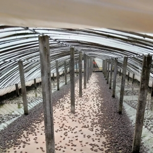 ��ߝq1.5Ԫ/�ţ��̩���R�q������߀���h�᣿ | ��������ؼs