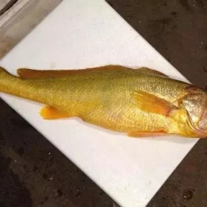 �H�ݱ��࣬�l����������Ұ�����S�~