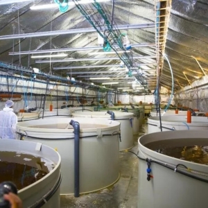 ̽�����B(t��i)�B(y��ng)ֳ֮·�����ƝO�I(y��)�Gɫ�l(f��)չ��������ʡ�|�~�a(ch��n)�I(y��)�f(xi��)�����h�ڸ���¡�����_