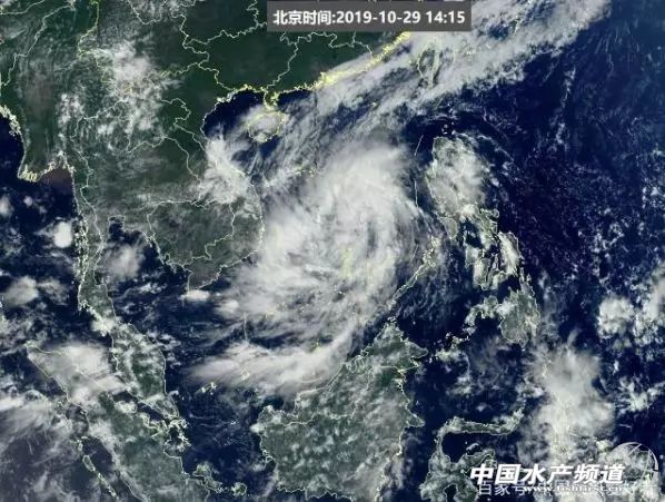 ������՚�+�_�L�u�����A����ʡӭ���_�L��