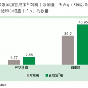���׌�~(y��)�r��߿��������@ƪ�����v���c(di��n)����
