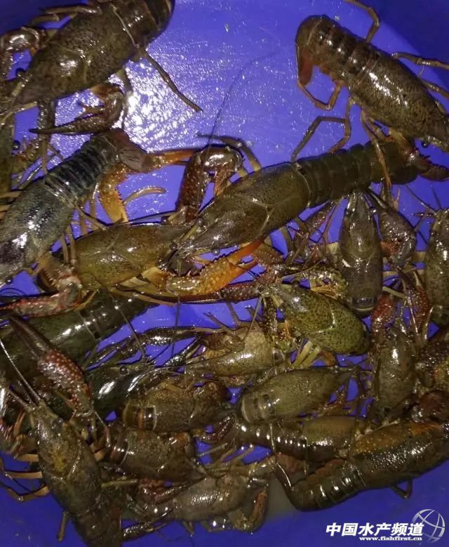 ��ˮ����ˮ��΢��ˮ���S��ˮ�������a3000����B�r������ϲ�gʲôˮ��