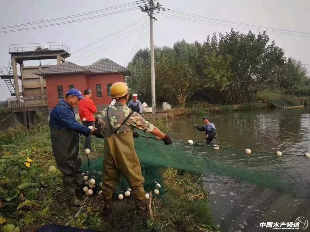 ��߰��a47������|�~���ل��ѿ�