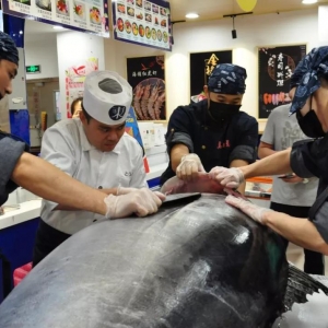 ���a����������ס�͑���