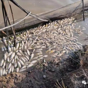 С���x�����l����ɽһ�~�����~���_��ǧ��