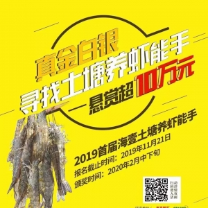 ���p��10�fԪ�����������B(y��ng)�r������