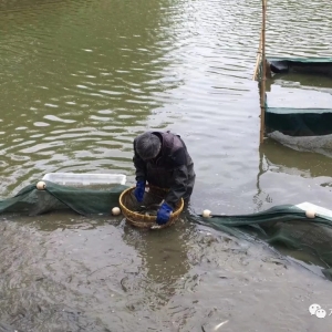 �K��ͬ�����ȣ����ݲ��~�L�ٿ�15.4%�����FǧԪ��Ч