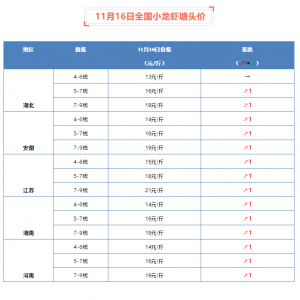 ��߱��q5Ԫ/����11��16��ȫ��С���r���^�r