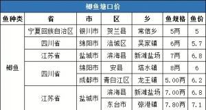 ���r6.36Ԫ/�11�µ�3���a�~�r�񲥈�