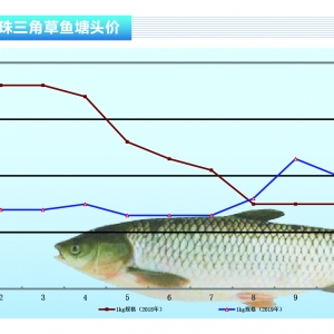 ���~���r��ƽ��ϲ���~������ˮ�aǰ�ء�2019��11�¿��Ј�څ��