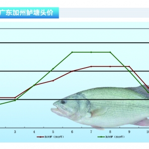 �����|�����~�������У�ȫ���~�r���䡪����ˮ�aǰ�ء�2019��11�¿��Ј�څ��