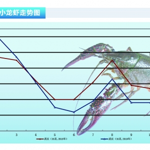 С���r���Ј��N���������½����r���������ȴ󡪡���ˮ�aǰ�ء�2019��11�¿��Ј�څ��
