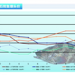 ʯ���~�����^��r����B��ˮ�������ϝq����������ˮ�aǰ�ء�2019��11�¿��Ј�څ��