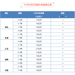 11��19��ȫ��С���r���^�r