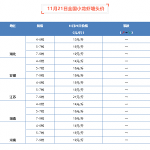 11��21��ȫ��С���r���^�r