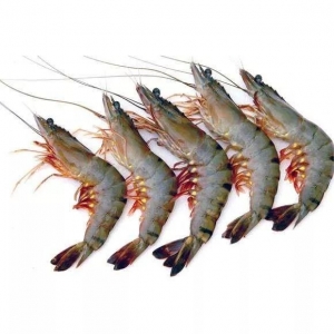 ӡ�Ȍ����r�r�µ���Խ�ϱ��Z�Ј����~��