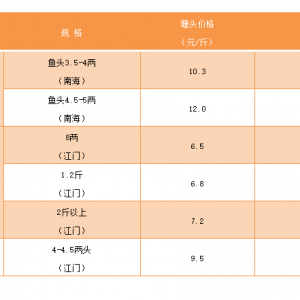 �~�r���{��11��29�������ǟo�[�~���^�r�񲥈�