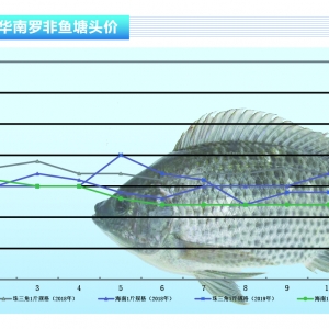 �_���~��������ԣ��~�r���m���С�����ˮ�aǰ�ء�2019��12�¿��Ј�څ��