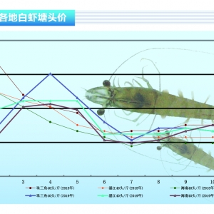 ���r:�A�ϵ؅^�����Нq�����K������r�졪����ˮ�aǰ�ء�2019��12�¿��Ј�څ��