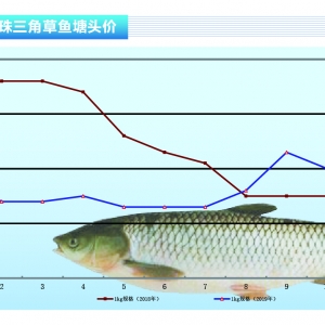 ���~�����Mƣܛ����ƽ������ˮ�aǰ�ء�2019��12�¿��Ј�څ��