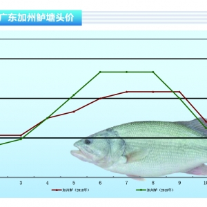 �����|��ȫ����Ʒ�~��ͨ�ٶȼӿ죬�����ž�������ˮ�aǰ�ء�2019��12�¿��Ј�څ��