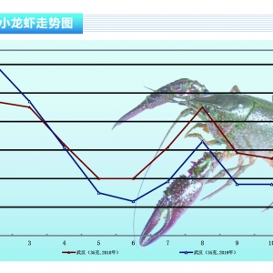 С���r���Ј��N���������½����r���������ȴ󡪡���ˮ�aǰ�ء�2019��12�¿��Ј�څ��