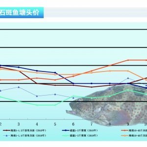 ʯ���~�����~���㣬�r��ַ�������ˮ�aǰ�ء�2019��12�¿��Ј�څ��